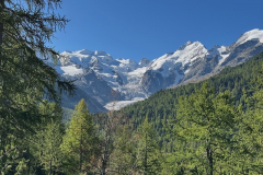 Berninagletscher