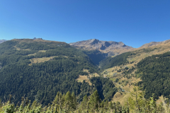 Blick