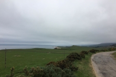 Schottland - im Norden - Ostküste