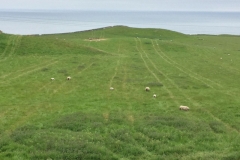Schottland - Highlands - Ostküste