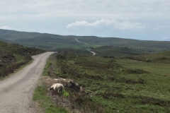 Single-Track-Road nach Applecross