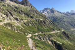 IMG_0775
